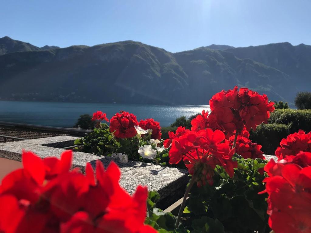 Angelina'S House With Lake View - Bellagio Buitenkant foto